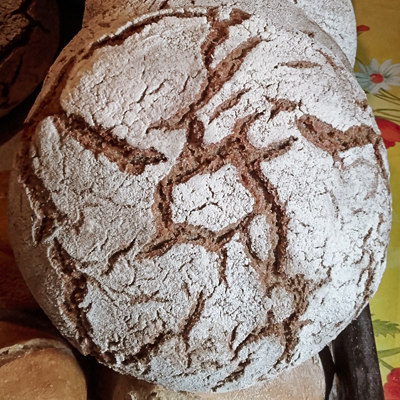 La toute de seigle - Pains régulier de la boulangerie artisanale BARA'LO